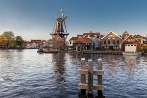 Tour image of Haarlem Old Town Private Walking Tour