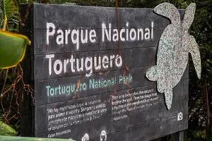 Tour image of Tortuguero Sunrise Canoe Tour – Coffee, Binoculars & Wildlife