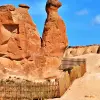 Image of Art Tours