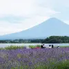 Image of Nature and Wildlife Tours