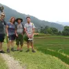 Image of Plantation Tours