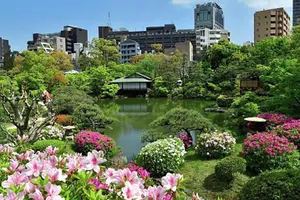 Tour image of Private Car - Experience Kobe City's Best Gems in a private car
