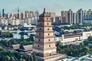 Tour image of Terracotta Warriors, City Wall and Pagoda Full Day Tour