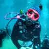 Image of Freediving