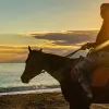 Image of Pack Animal Tours
