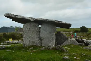 Tour image of Cliffs of Moher & Sheepdog Demonstrations from Galway