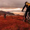 Image of Mountain Bike Tours
