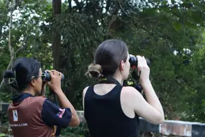 Tour image of Birdwatching Tour in Langkawi