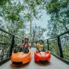 Image of Ziplining