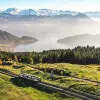 Image of Nature Walks