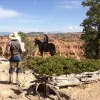 Image of Horseback Riding