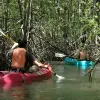 Image of Kayaking Tours