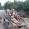 Image of Pack Animal Tours