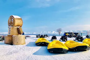 Tour image of Hokkaido Day Tour: Asahiyama Zoo, Blue Pond, Falls Forest Terrace