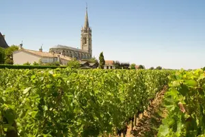 Tour image of Visit Saint-Emilion and Pomerol:Vineyards, lunch and tastings included