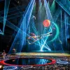 Image of Circus Shows