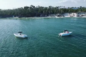 Tour image of Swim with Dolphins And Snorkeling Group Tour