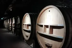 Tour image of Provence Cru Wine Small-Group Half-Day Tour from Avignon