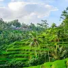 Image of Nature Walks