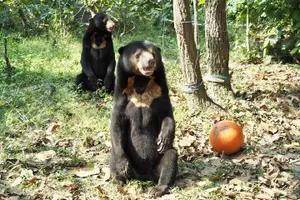 Tour image of 10 Day Ethical Animals Tour Where the Wild Things Roam