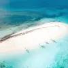 Image of Nature and Wildlife Tours