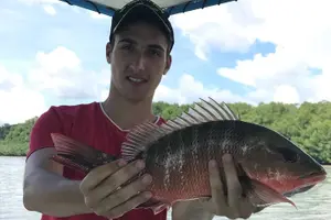 Tour image of Damas Island Mangrove Fishing Tour from Manuel Antonio