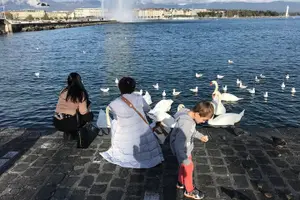 Tour image of Best of Geneva City Tour with optional boat cruise