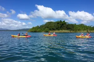 Tour image of Kayak -Bird Watching Combo Tour from Puerto Quetzal