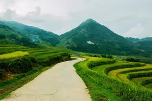 Tour image of Sapa Easy Trekking Tour 1 Day - Rice Paddies and Cultures