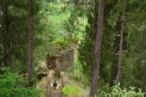 Tour image of 6-Day Tour of Dragon Kingdom From Paro