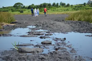 Tour image of Trinidad Island Sightseeing Tour: Pitch Lake and Chaguanas