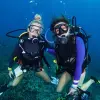 Image of Freediving