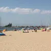Image of Lunch Cruises