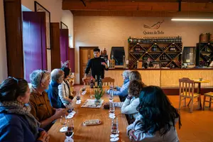 Tour image of Authentic Small Group Douro Wine Tour with Lunch & River Cruise