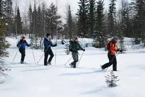 Tour image of Snowshoeing Excursion in Kiruna