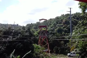 Tour image of Half Day Tour in Rainforest Zipline Park with Transportation