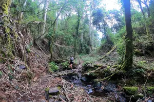 Tour image of Trail Running Lousana mountains and villages of shale