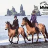 Image of Horseback Riding