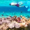 Image of Kayaking Tours