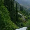 Image of ATV Tours