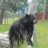 Image of Natural Attractions