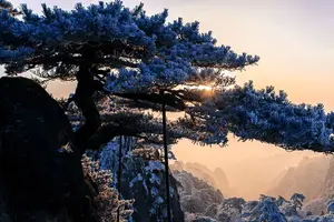 Tour image of 2-Day Huangshan Private Tour: Yellow Mountain and Xidi Ancient Village