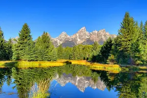 Tour image of Self-Guided Audio Driving Tour in Grand Teton National Park