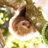 Image of Nature and Wildlife Tours