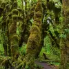 Image of Nature and Wildlife Tours