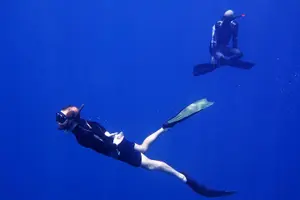 Tour image of Koh Chang Freedive Trip ( Start at Koh Chang)