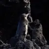 Image of Nature Walks