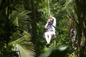 Tour image of Treetop Adventure Park Canopy Tour