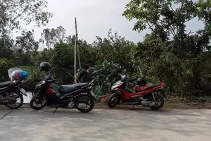 Tour image of Motorbike Experience Hue to Hoi An Over Via Hai Van pass with Amazing Easy Rider