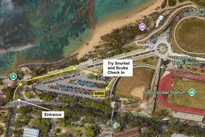Tour image of San Juan Guided Snorkel With Turtles Tour and Videos